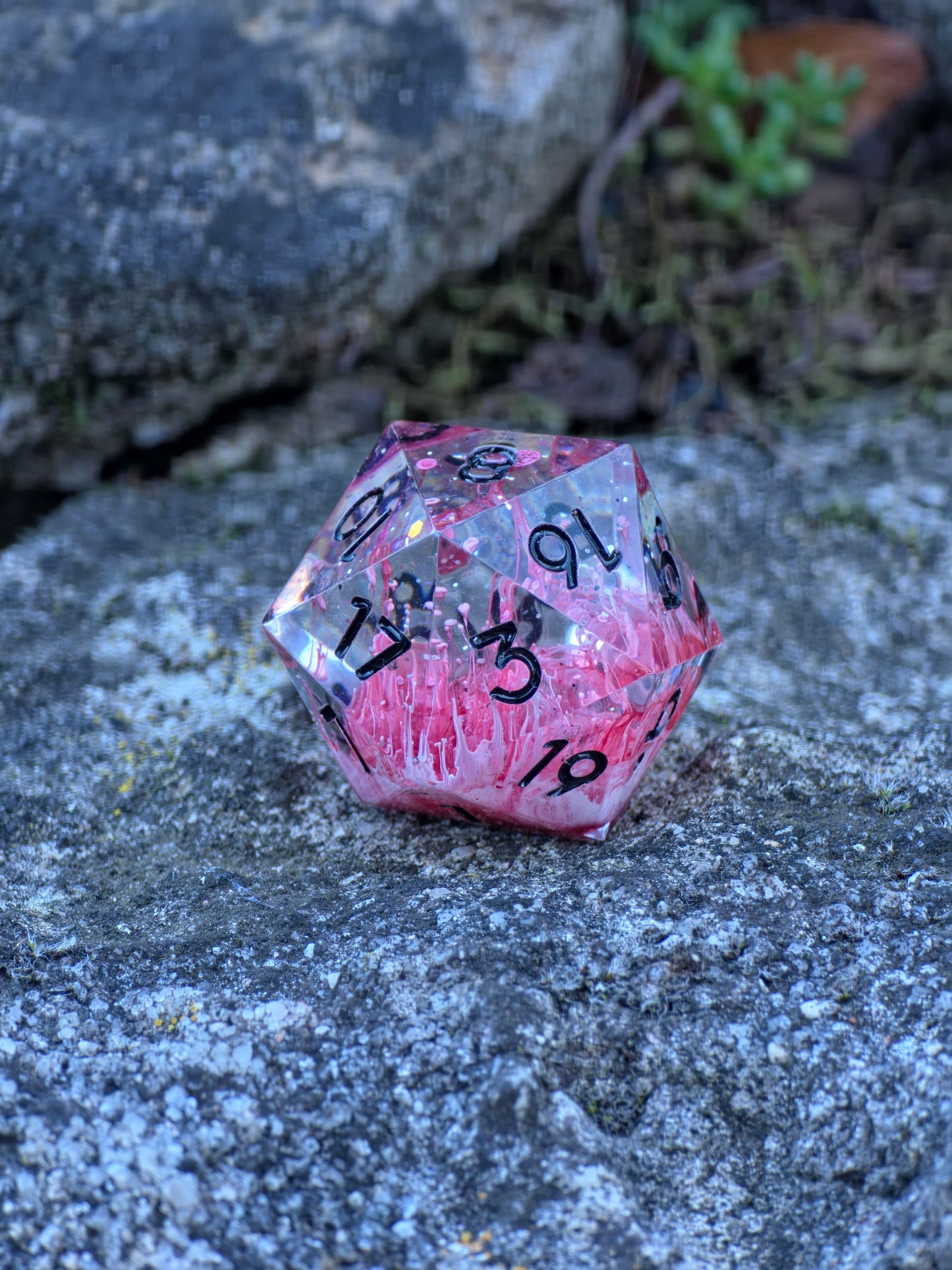 Polyedrischer Einzelner D20 –Petri D20 Rot Weiß Pilz Stil – Handgemachter Resin Würfel mit Petri Effekt | Mushroom Dice TTRPG Pen and paper