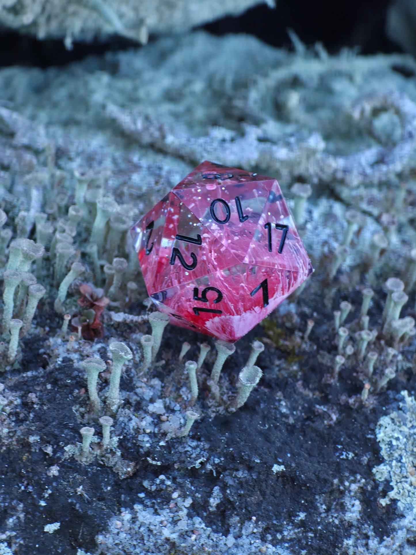 Polyedrischer Einzelner D20 –Petri D20 Rot Weiß Pilz Stil – Handgemachter Resin Würfel mit Petri Effekt | Mushroom Dice TTRPG Pen and paper