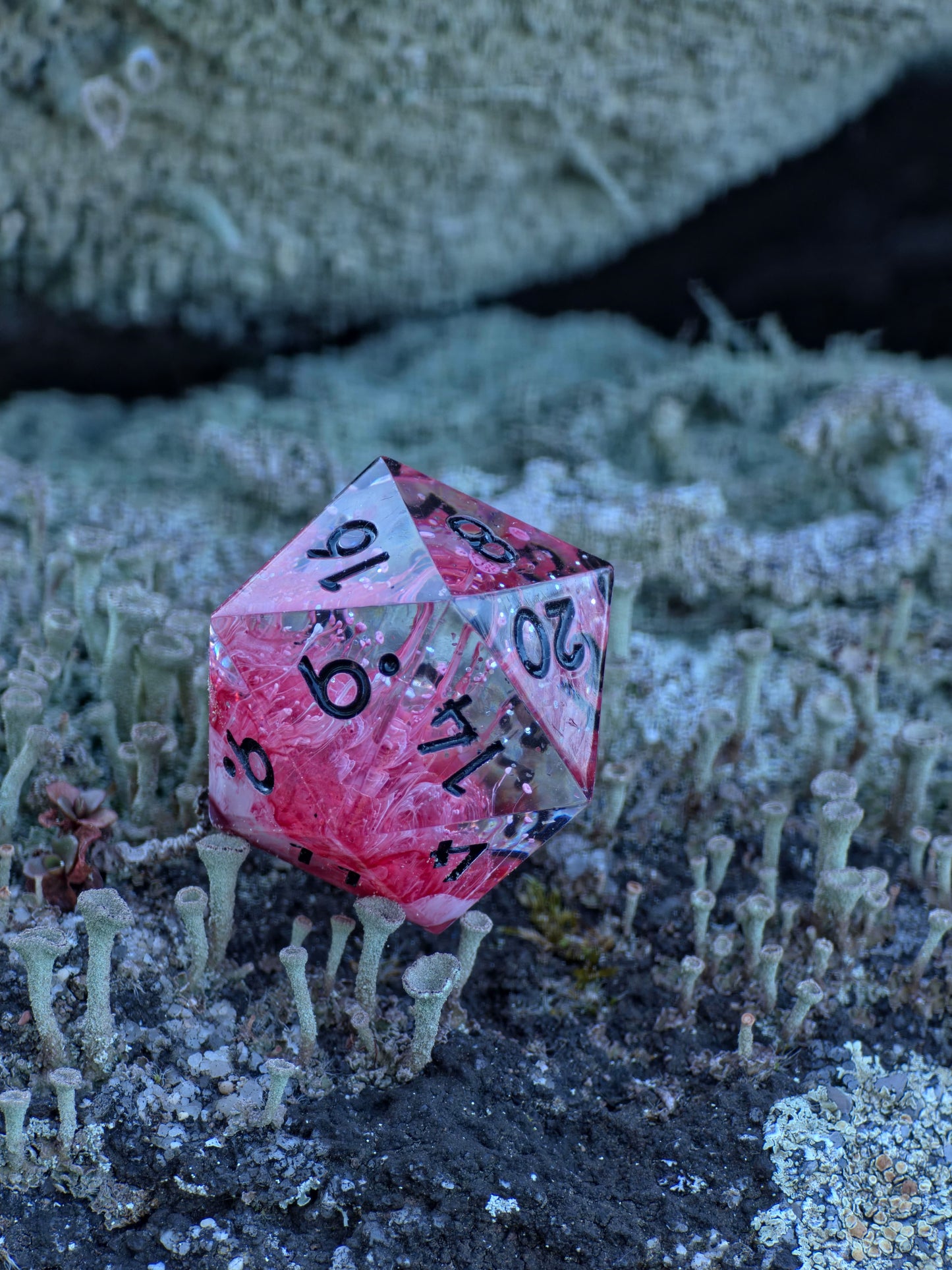 Polyedrischer Einzelner D20 –Petri D20 Rot Weiß Pilz Stil – Handgemachter Resin Würfel mit Petri Effekt | Mushroom Dice TTRPG Pen and paper
