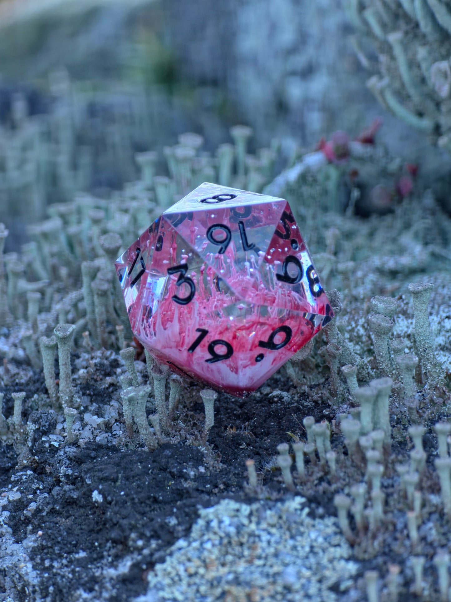 Polyedrischer Einzelner D20 –Petri D20 Rot Weiß Pilz Stil – Handgemachter Resin Würfel mit Petri Effekt | Mushroom Dice TTRPG Pen and paper