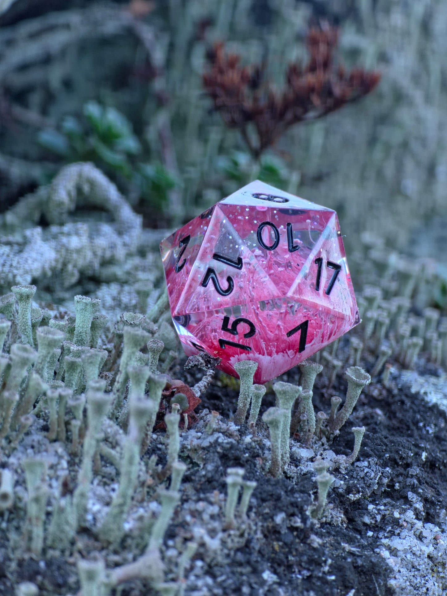 Polyedrischer Einzelner D20 –Petri D20 Rot Weiß Pilz Stil – Handgemachter Resin Würfel mit Petri Effekt | Mushroom Dice TTRPG Pen and paper