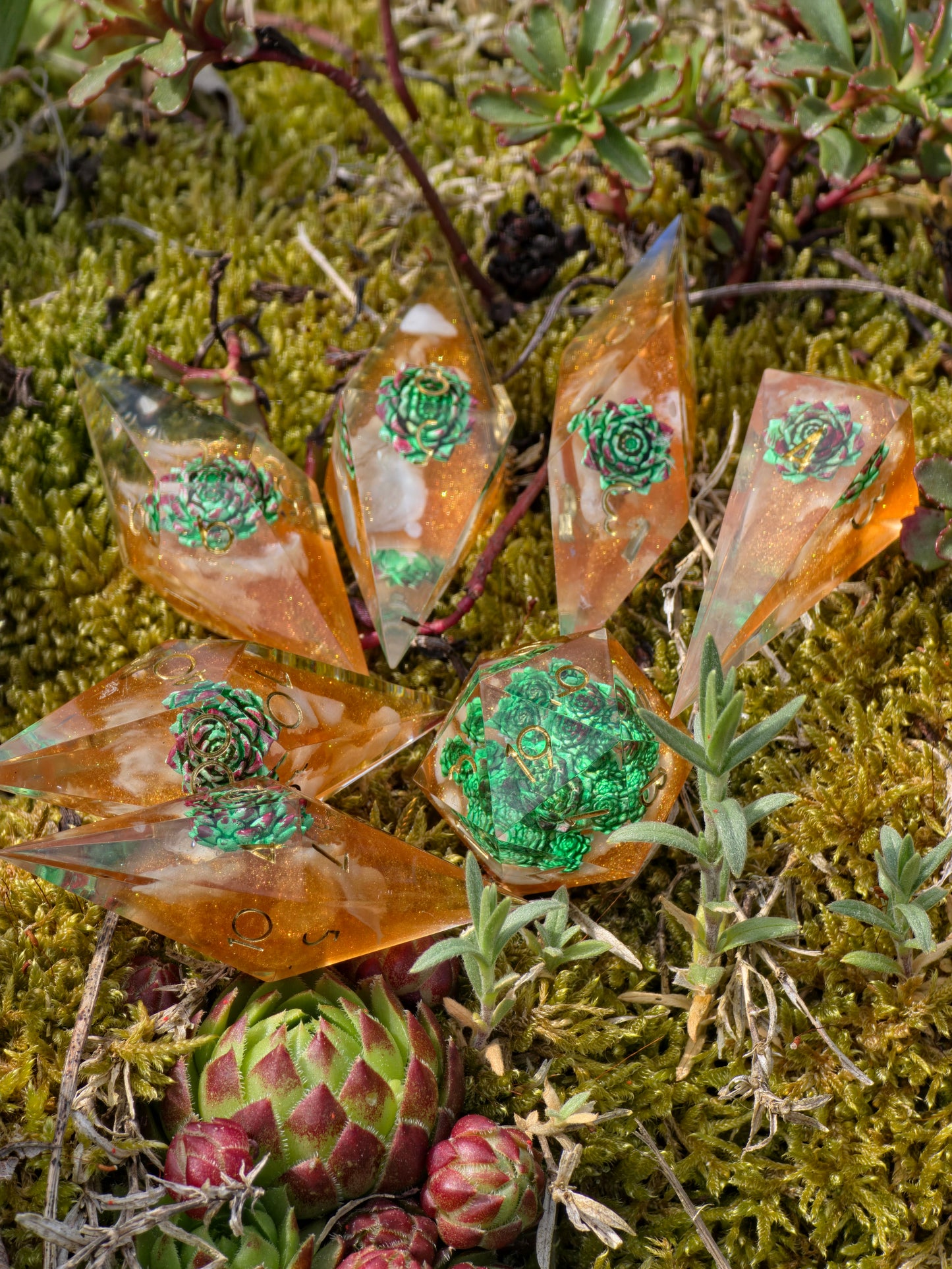 Verdant Ember Grove Succulent Nature Dice Set – Handmade Resin DnD Dice with Succulents, Elongated Sharp Edge RPG Dice, Fantasy Dice Set