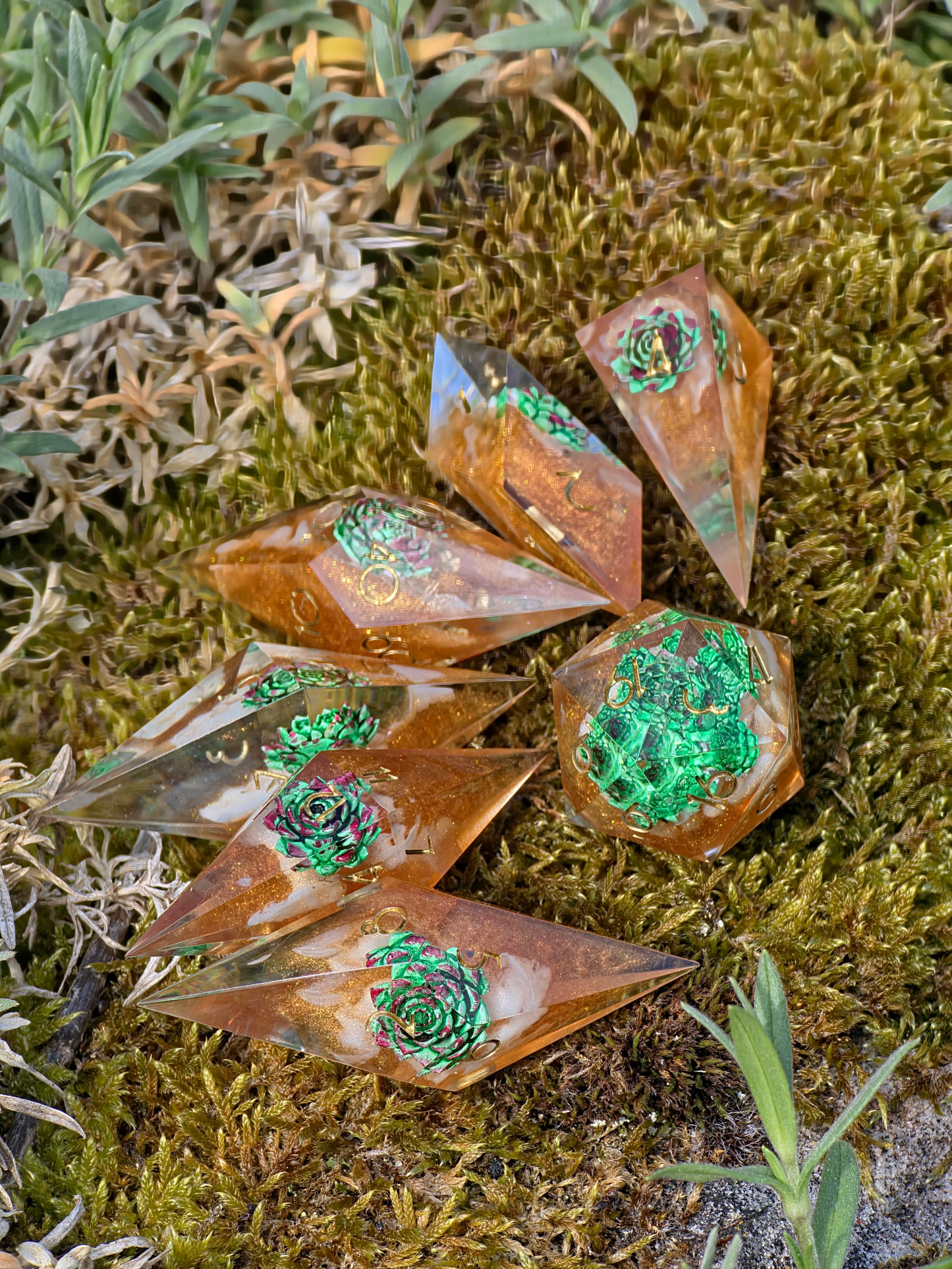 Verdant Ember Grove Succulent Nature Dice Set – Handmade Resin DnD Dice with Succulents, Elongated Sharp Edge RPG Dice, Fantasy Dice Set