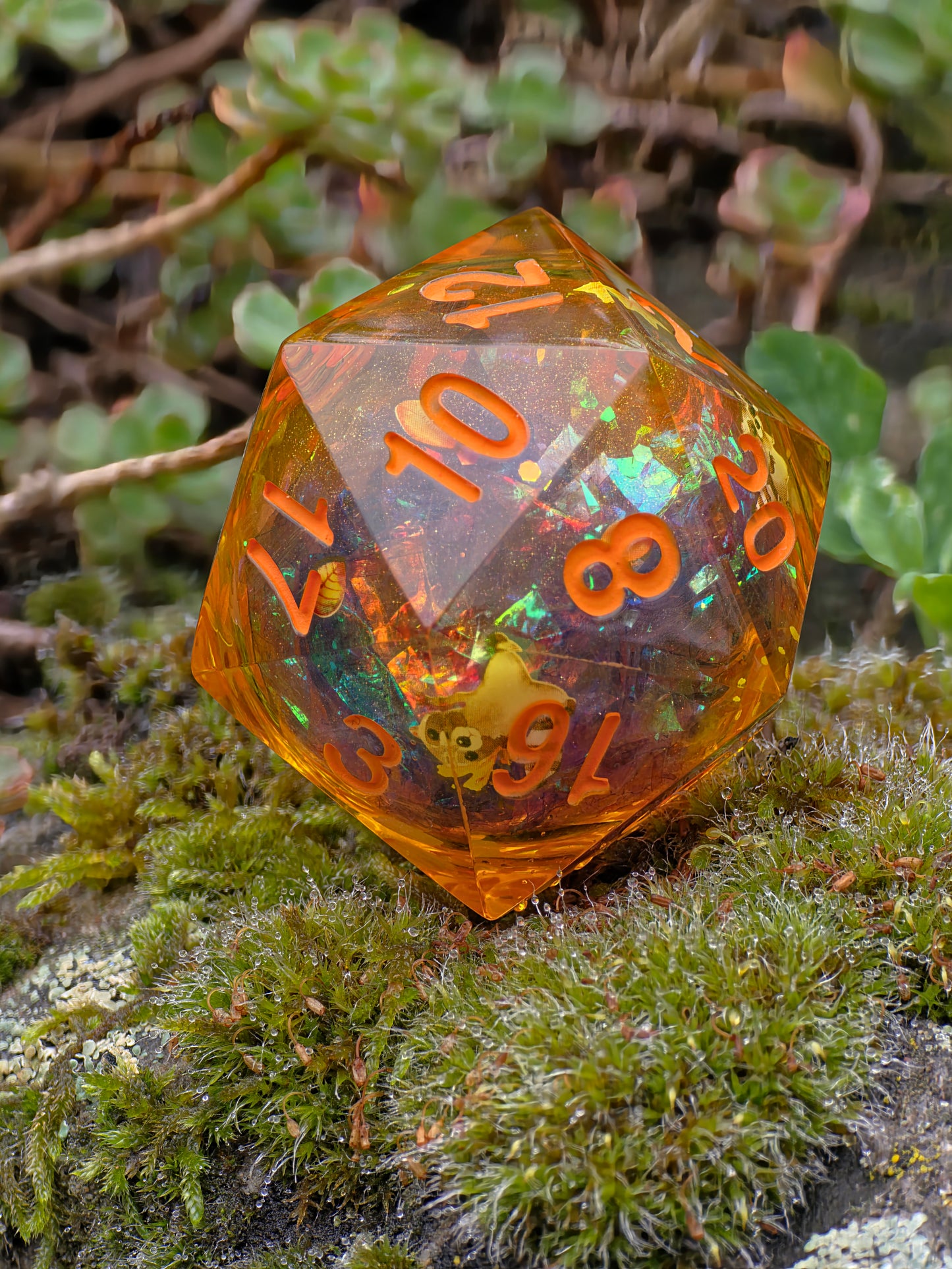 Chonk Polyedrischer D20 Würfel 33–35 mm – Liquid Core Autumn Raccoon Dice | Handgemachter Resin Würfel mit Herbstblättern, Kürbis, Halloween