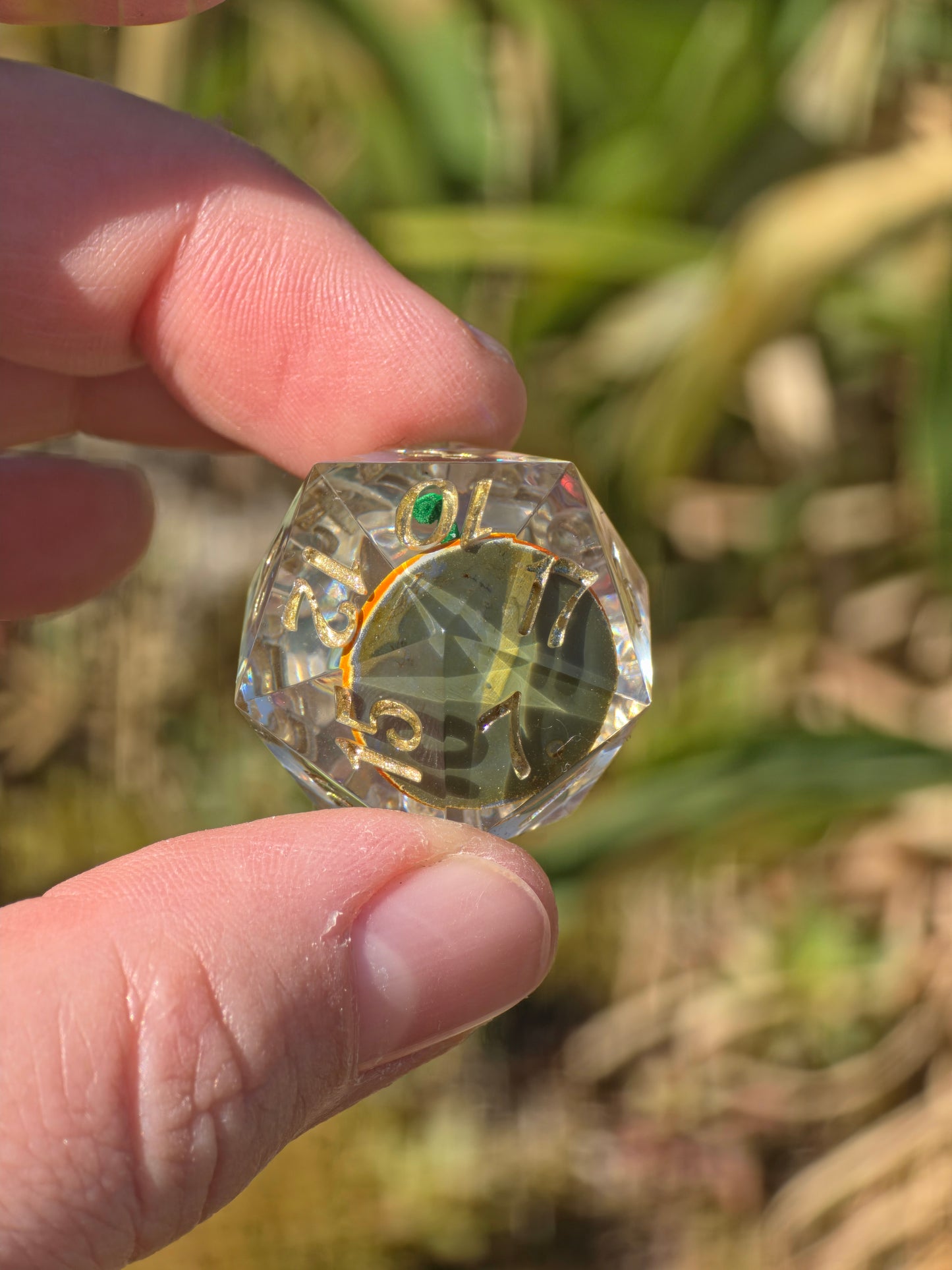 Pascal's Secret Garden D20 Dice – Tangled Inspired Resin D20 mit Pascal Chamäleon | Handgemachter Sharp Edge Würfel für DnD & RPG