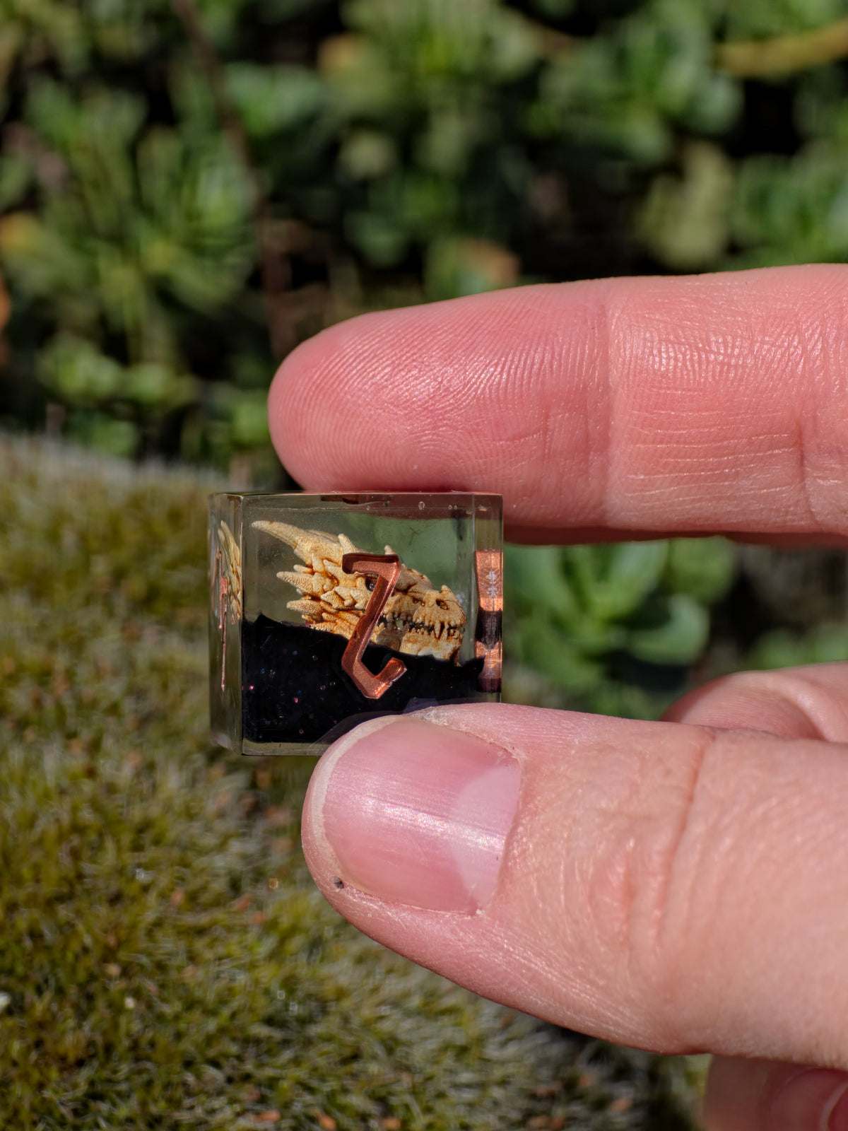 Dragon's Legacy – Ancient Skulls Drachen Schädel Würfelset – 7-teiliges DnD Resin Dice Set | Dragon Skull Dice mit Kupfer Zahlen | Handmade Fantasy Würfel