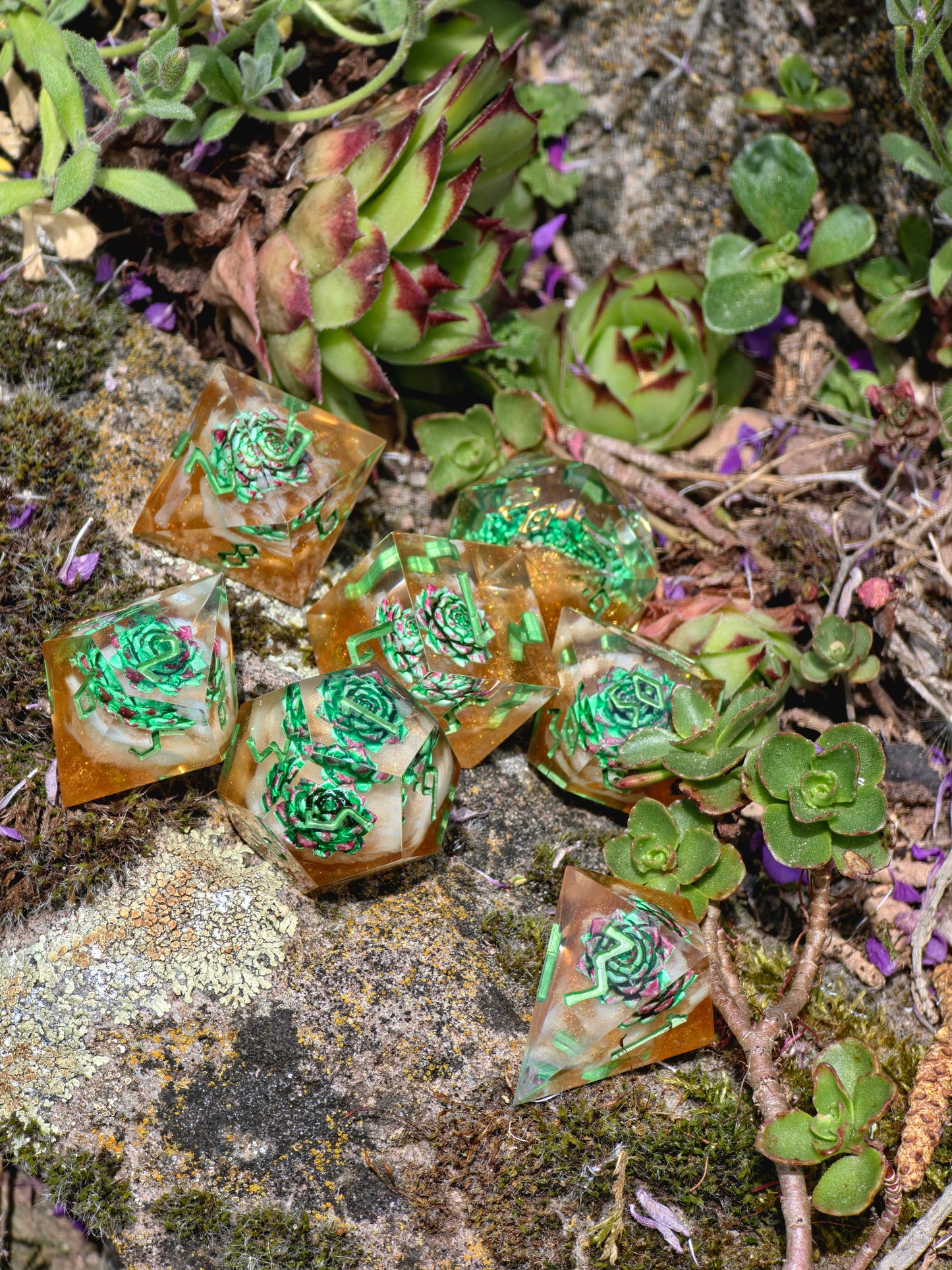 DnD Würfel Set Succulenten – Handgemachte Resin Würfel, Grün Gold Dice, Fantasy Würfel Set, RPG Dice,Mini succulent inserts, Nature