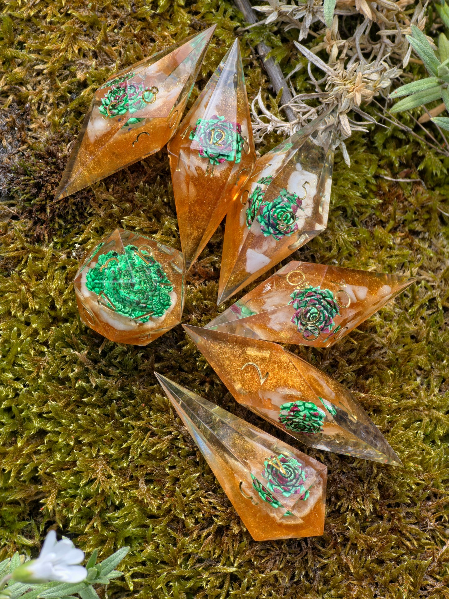 Verdant Ember Grove Succulent Nature Dice Set – Handmade Resin DnD Dice with Succulents, Elongated Sharp Edge RPG Dice, Fantasy Dice Set