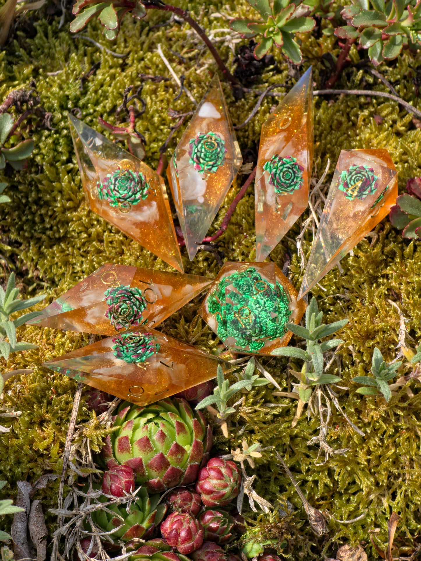 Verdant Ember Grove Succulent Nature Dice Set – Handmade Resin DnD Dice with Succulents, Elongated Sharp Edge RPG Dice, Fantasy Dice Set