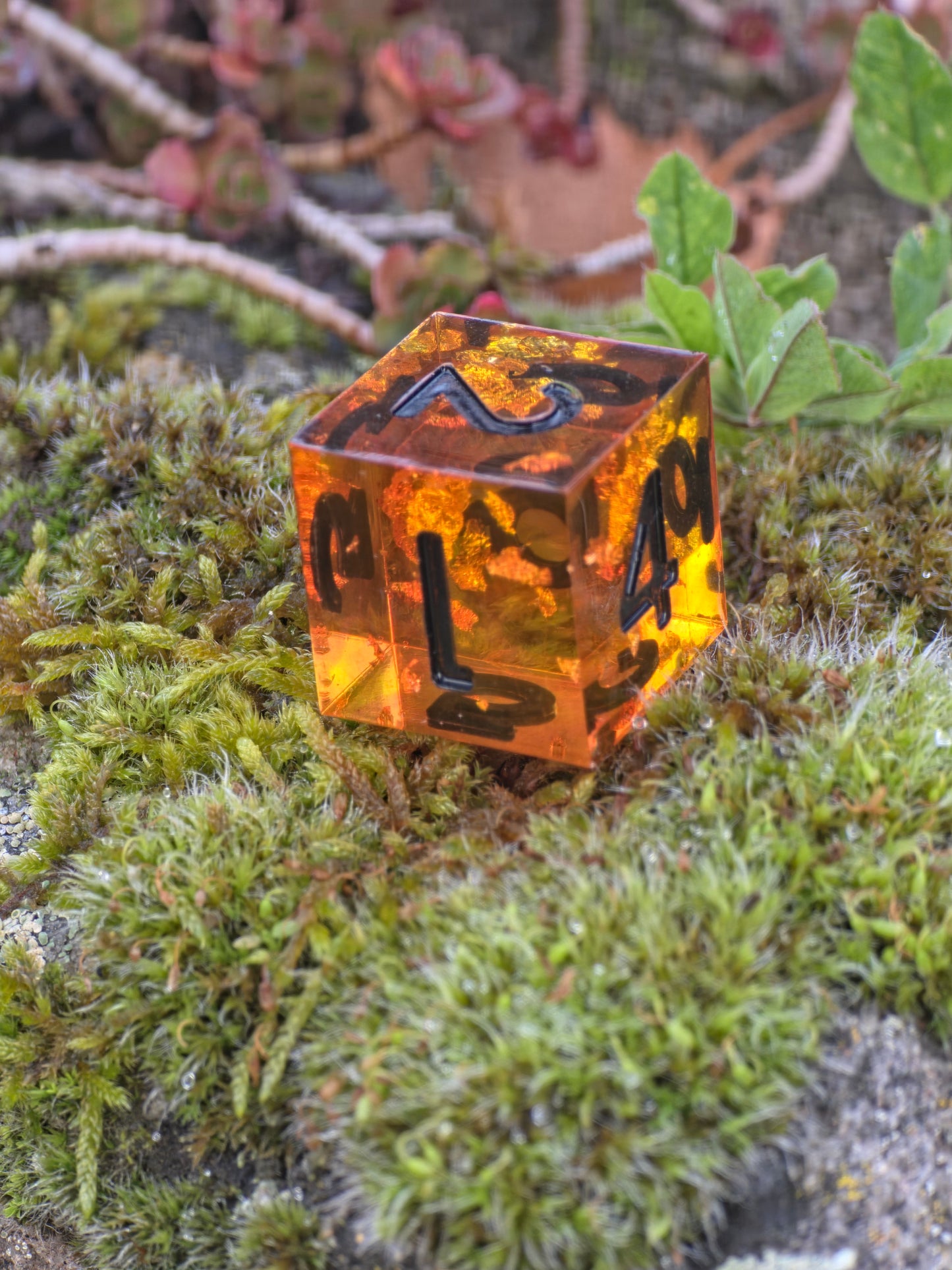 Detailaufnahme des D6 „Bernstein Fragment“ – goldene Flocken schweben im transparenten Amber-Resin.  
Close-up of the Amber Fragment D6 – gold flakes suspended in transparent amber resin.