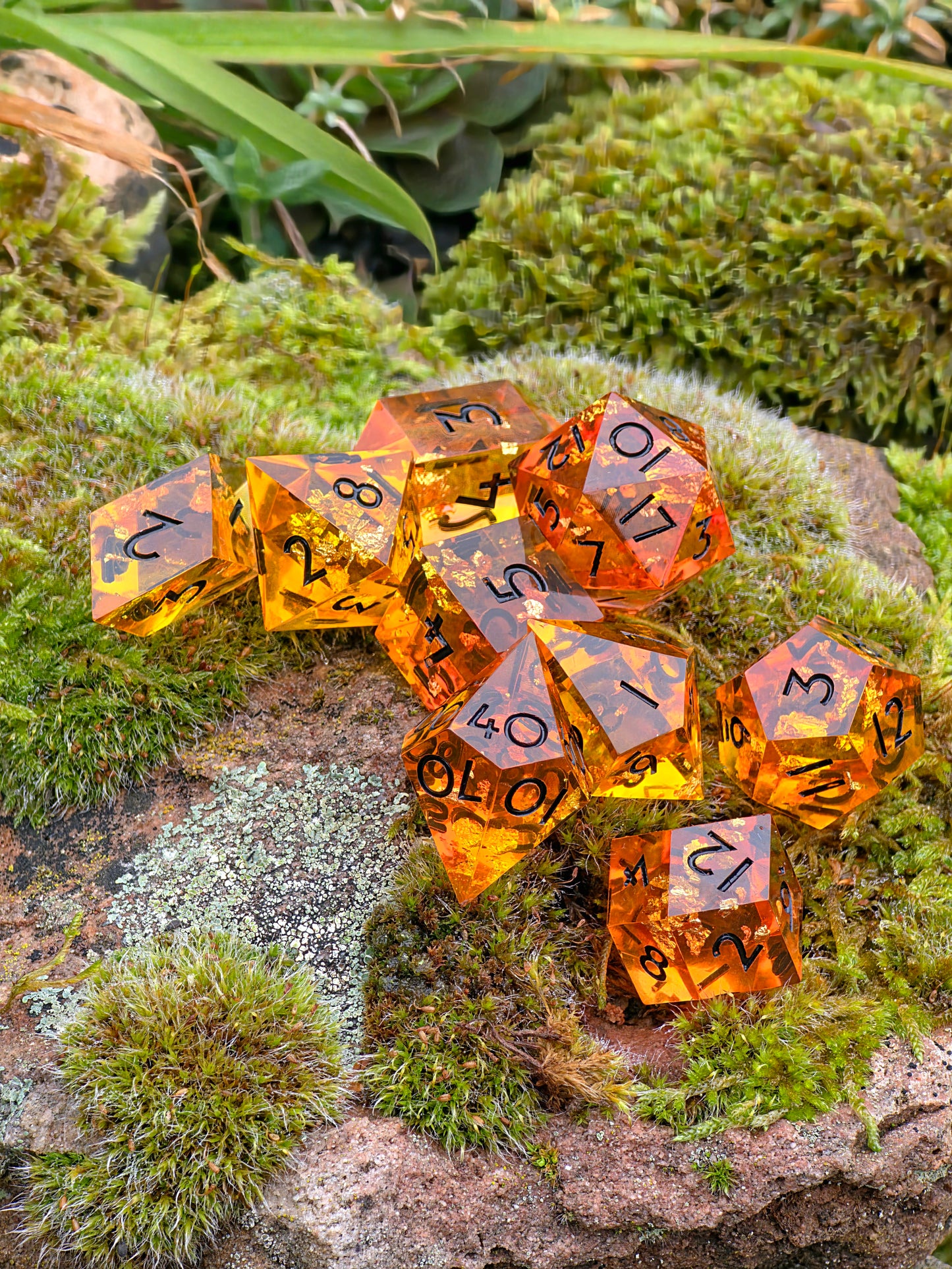 „Amber Crystal“ im Sonnenlicht – harmonisches Farbspiel von Gold und Orange.  
“Amber Crystal” in sunlight – harmonious play of gold and orange tones.