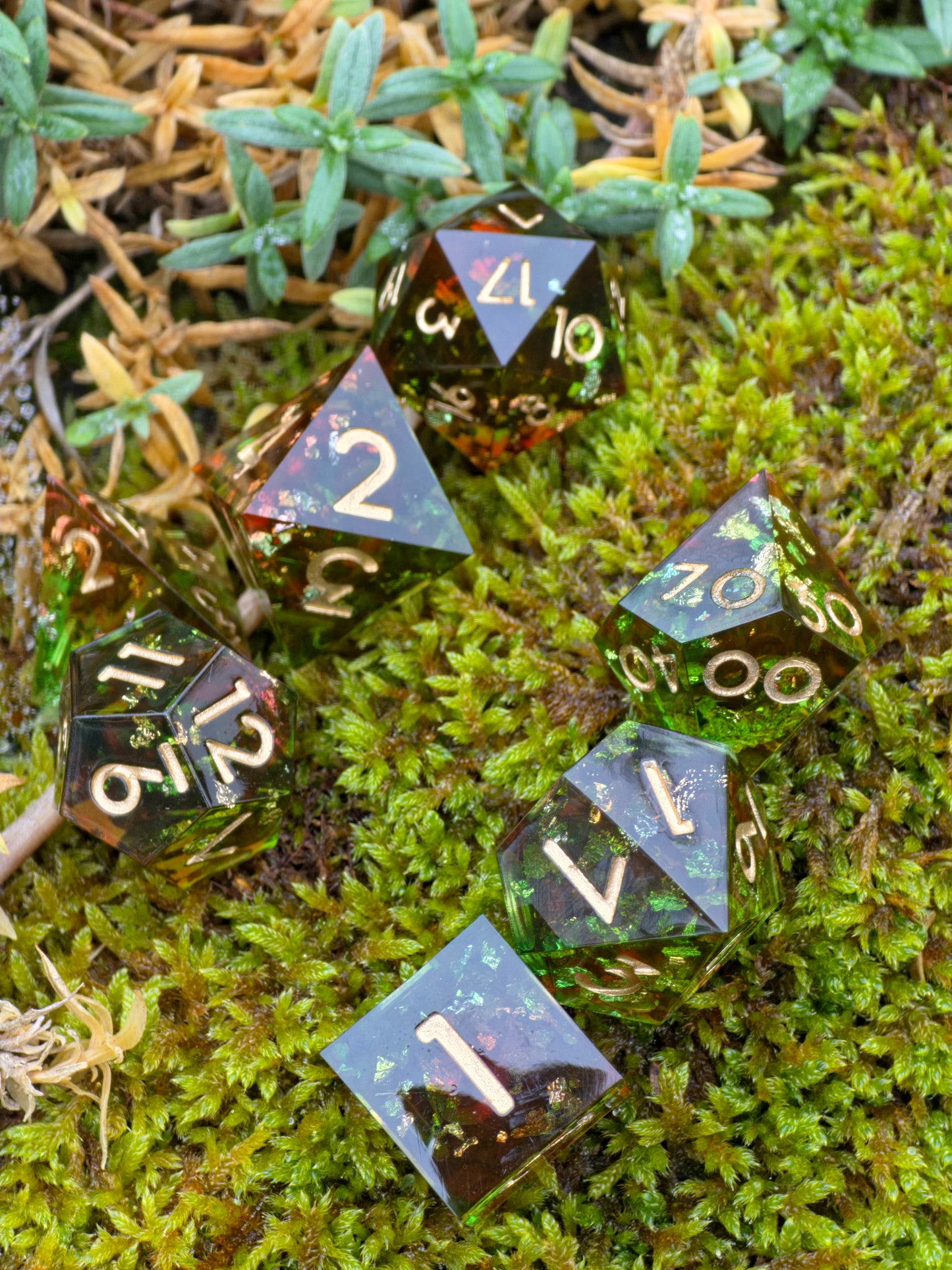 Resinwürfel-Set auf Moos fotografiert – symbolisiert den uralten Wald und natürliche Magie.  
Resin dice set photographed on moss – symbolizing the ancient forest and natural magic.