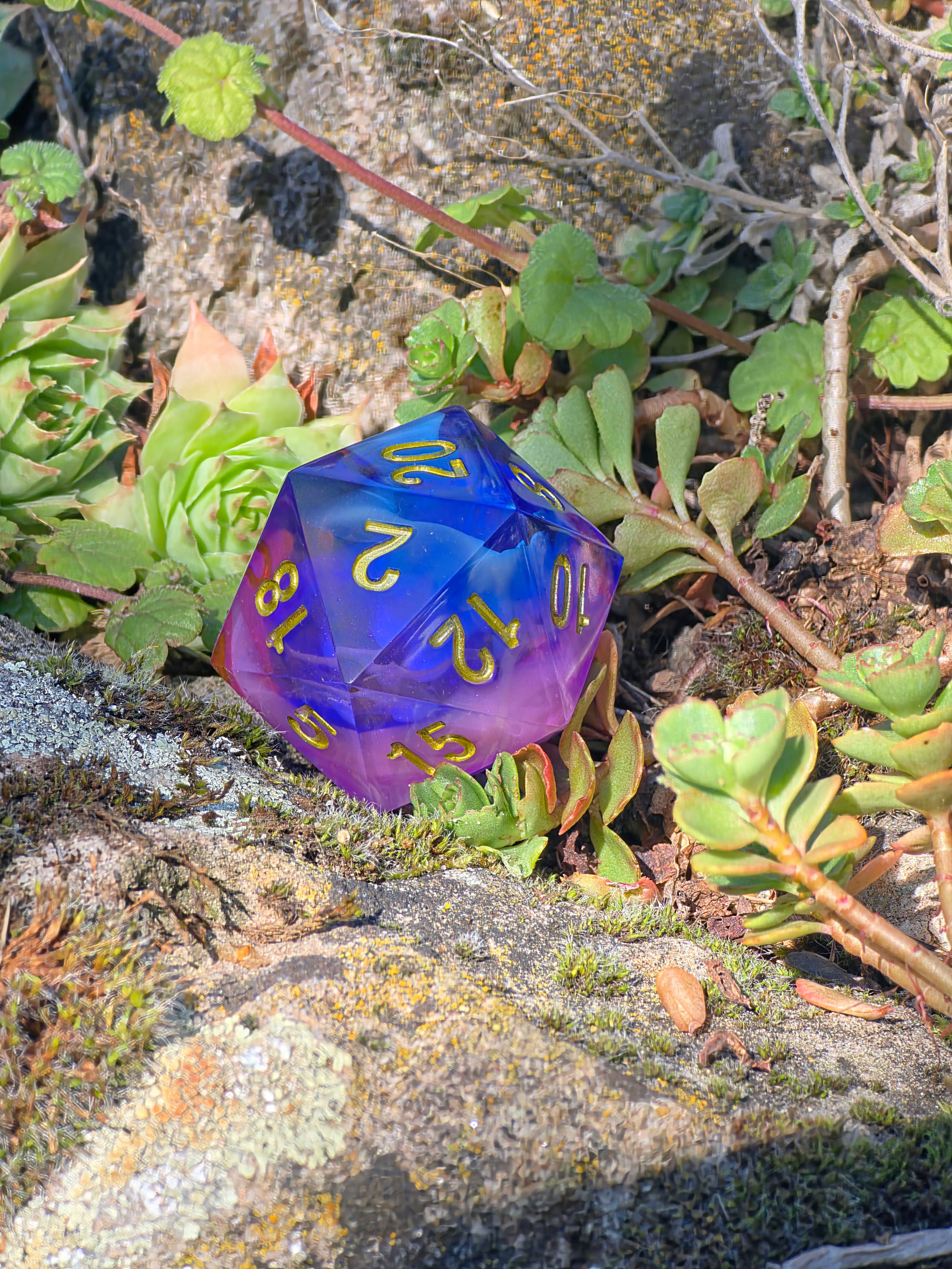 „Nebula Cloud“ im Sonnenlicht – galaktische Farben treffen auf natürliche Umgebung.  
“Nebula Cloud” in sunlight – galactic colors meet natural environment.