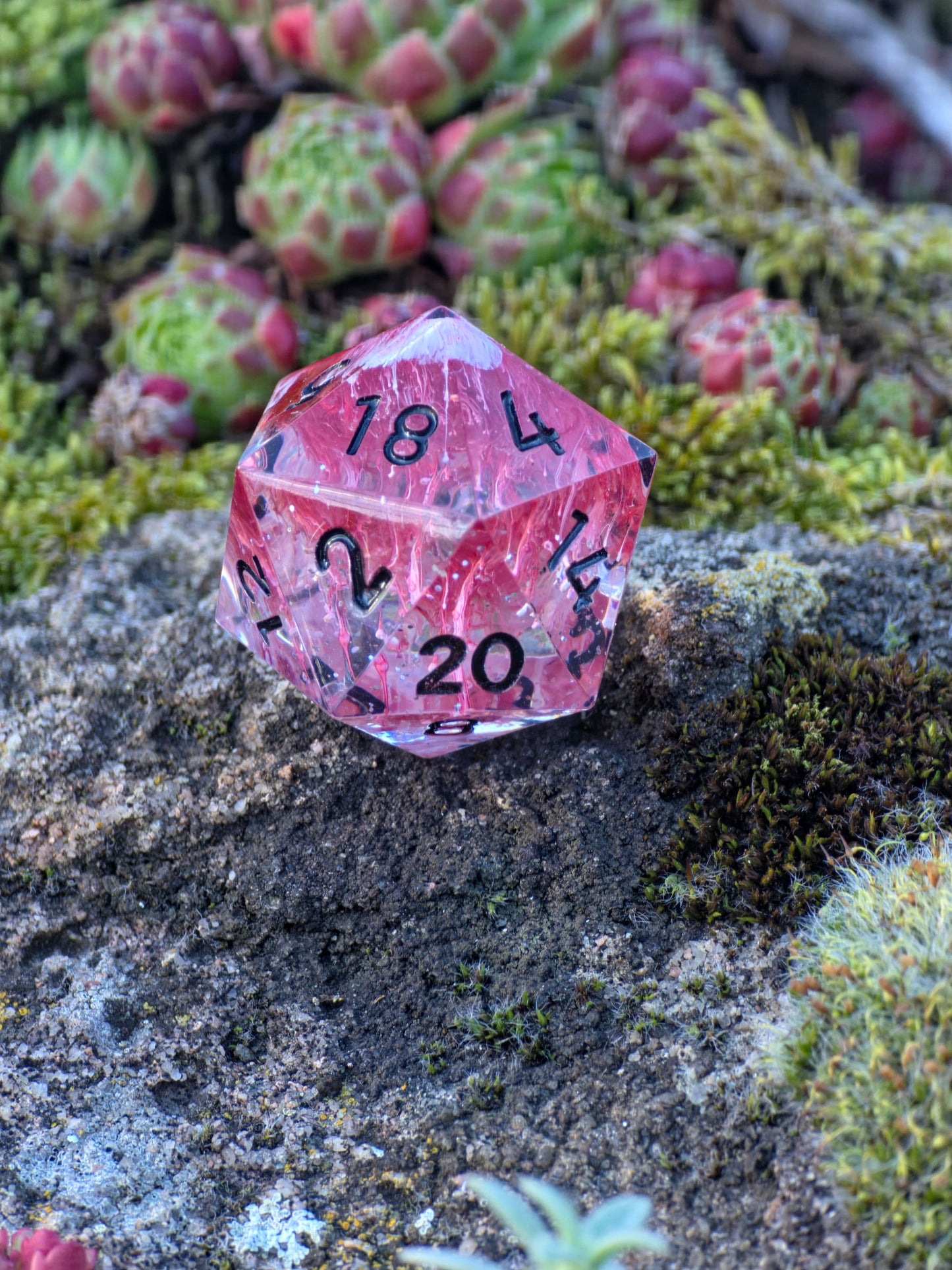 Detailaufnahme des „Petri D20 Mushroom“ – organische Strukturen und faszinierende Farbverläufe.  
Close-up of “Petri D20 Mushroom” – organic structures and fascinating color blends.