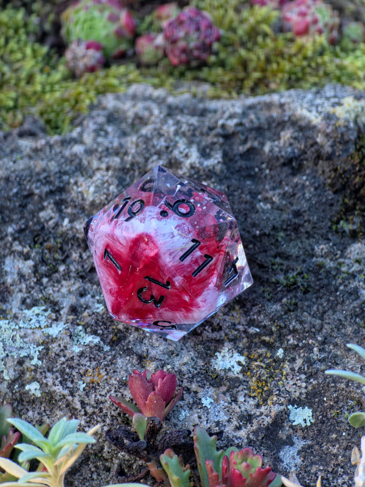 Studioaufnahme des „Petri D20 Mushroom“ – klare Facetten und kräftige Rot-Weiß-Kontraste.  
Studio shot of “Petri D20 Mushroom” – clean facets and vivid red-white contrasts.