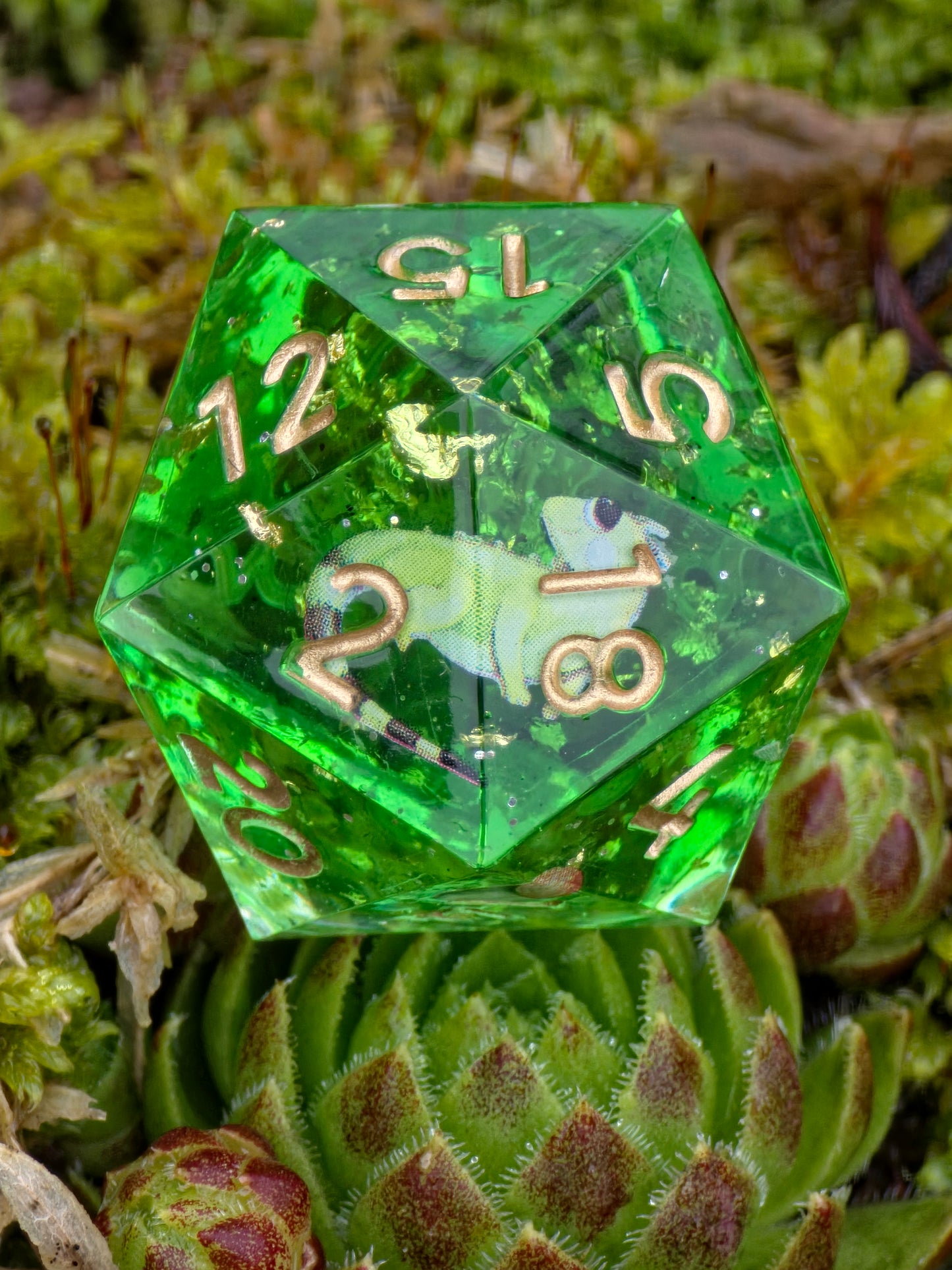 D20 „Tropical Habitat“ auf grauem Hintergrund – betont Klarheit, goldene Zahlen und tropische Figuren im Inneren.  
“Tropical Habitat” D20 on gray background – emphasizing clarity, golden numbers and tropical miniatures inside.
